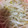 れーちゃん09's cooksnap of when they made シャキシャキ♪もやしの柚子胡椒和え.