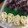 アキ７'s cooksnap of when they made 例えば卵。【面倒臭がりさんのだし巻き】.