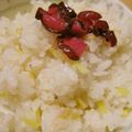 mcc5646's cooksnap of when they made あっさり。生姜ご飯.