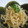 あやかときょうこ's cooksnap of when they made ☆簡単☆もやしのナムル.