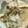 クックGFY8CA☆'s cooksnap of when they made 美味！ごぼう香るあさりの炊き込みご飯.
