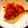 クックAY220G☆'s cooksnap of when they made アジのトマト煮込み.