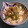 北海道伯爵's cooksnap of when they made キャベツとみょうがときゅうりの和え物.