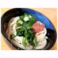 sonodaaman's cooksnap of when they made 簡単♪パパっと！たらこうどん.