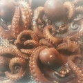 キムラキッチン's cooksnap of when they made たこの煮付け.