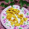 めみたん☆'s cooksnap of when they made 基本の犬用クッキー☆.