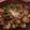 糠に釘入れたら's cooksnap of when they made なすのカルパッチョ.