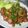 上野食堂's cooksnap of when they made ウマウマ！砂ずり炒め★.