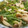 sonomay's cooksnap of when they made 簡単☆ほうれん草としめじのスープ♪.