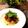 momo4Tra's cooksnap of when they made タコとオリーブのトマト煮.