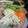 緑のネコ's cooksnap of when they made 簡単☆お鍋に♫割烹の味！鶏だんご.