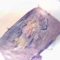あざらしもふもふ's cooksnap of when they made ココアでヘルシー生チョコ.