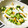 ふれんでぃあ's cooksnap of when they made 簡単☆大根ときゅうりの塩麹＆昆布茶漬け♪.