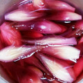 いぶひゅう's cooksnap of when they made ☆簡単美味☆ミョウガの甘酢漬け.
