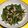 Tedeiy's cooksnap of when they made 北新地某店で食べた 空芯菜炒め〜w！！.