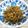 もぐ・ω・くま's cooksnap of when they made 山クラゲの炒め煮.