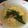 にむばすしゅたーぜん's cooksnap of when they made 梅シソ塩ラーメン.