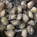 トラととら's cooksnap of when they made あさりの下処理　砂抜き　塩抜き.
