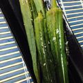 ｱｲﾊﾅ's cooksnap of when they made 焼きオクラの辛し醤油和え☆.
