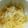 ココアとモカ's cooksnap of when they made onlyもやし酢の物.