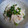 みりま's cooksnap of when they made 大根のツナマヨ.