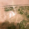 もんみやん☆'s cooksnap of when they made 大葉の保存方法.