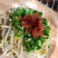 ねむちぇぶちゃん's cooksnap of when they made さっぱり★オクラともやしの梅肉和え.