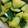 MOKUROU's cooksnap of when they made 簡単！　キュウリ　浅漬け.