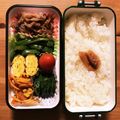 まるまつこ's cooksnap of when they made お弁当にピーマンの塩昆布炒め.
