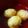 デラ･モチマッヅィ's cooksnap of when they made 簡単＆シンプル　明石焼き.