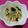 ももべこ's cooksnap of when they made チンしてかけて混ぜる。３分えのき.