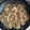 gauzelily's cooksnap of when they made 鯖水煮缶で♪簡単！さばそぼろごはん.