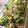 ころんぴ's cooksnap of when they made 野菜嫌いでも食べる！小松菜のサラダ.
