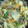 クックXJZR7R☆'s cooksnap of when they made じゃが芋のオイスターソース簡単中華風炒め.