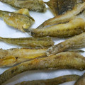 クック031K8G☆'s cooksnap of when they made 【マハゼ釣果】 素材を活かした揚げもの.