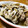 みどふぁどベシ's cooksnap of when they made １０分ごちそう♪キノコとあさりの包み蒸し.