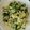 Zyun0605's cooksnap of when they made キャベツの浅漬け海藻まみれ.