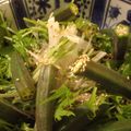カナー's cooksnap of when they made しゃき-んｻﾗﾀﾞ.