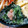 Natsutach's cooksnap of when they made 小松菜のタラコマヨ和え★.