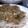 まりもまん's cooksnap of when they made もやしのとろ～り♪あんかけ.