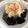 kona8's cooksnap of when they made 揚げない！茄子の揚げ焼き豆腐.