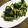 shina♡'s cooksnap of when they made アスパラのにんにく炒め.