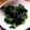 Jyohana's cooksnap of when they made たっぷり胡麻の小松菜炒め.