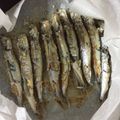 ちょるるるる's cooksnap of when they made ししゃもの焼き方.
