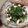 クックESR3JM☆'s cooksnap of when they made たこときゅーりの酢の物.