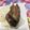 あや。。！'s cooksnap of when they made 出世魚♬ ブリの照り焼き.