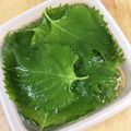 メタルマリオ's cooksnap of when they made 摘みたてよりシャッキリ⁈大葉の保存方法.