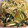 candy422's cooksnap of when they made 小松菜ときのこの煮浸し.