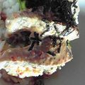 六花空木's cooksnap of when they made カツオのたたきのピリ辛マヨネーズ丼.