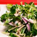 まっさまさママ's cooksnap of when they made 豆苗と塩昆布のマヨサラダ.